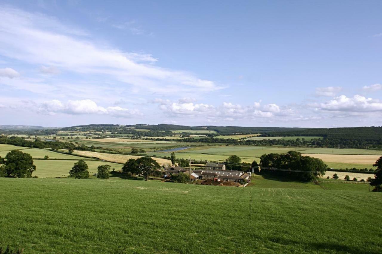 Anick Grange Farm B&B Hexham Luaran gambar